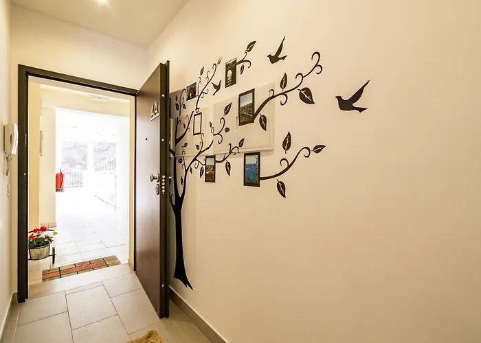 Verasol Aa - The Luxury *